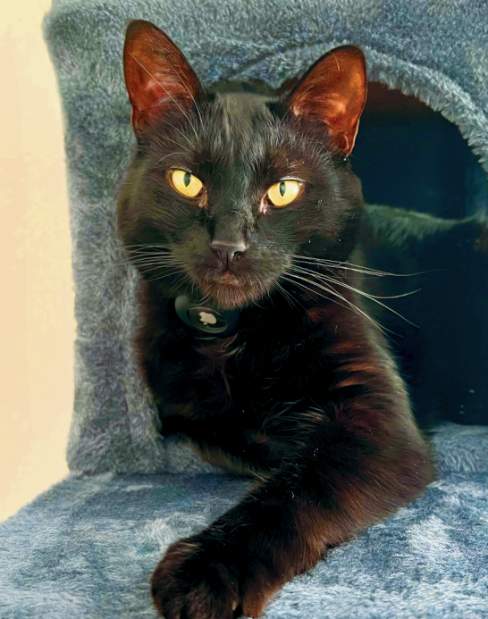 Salem.PNG