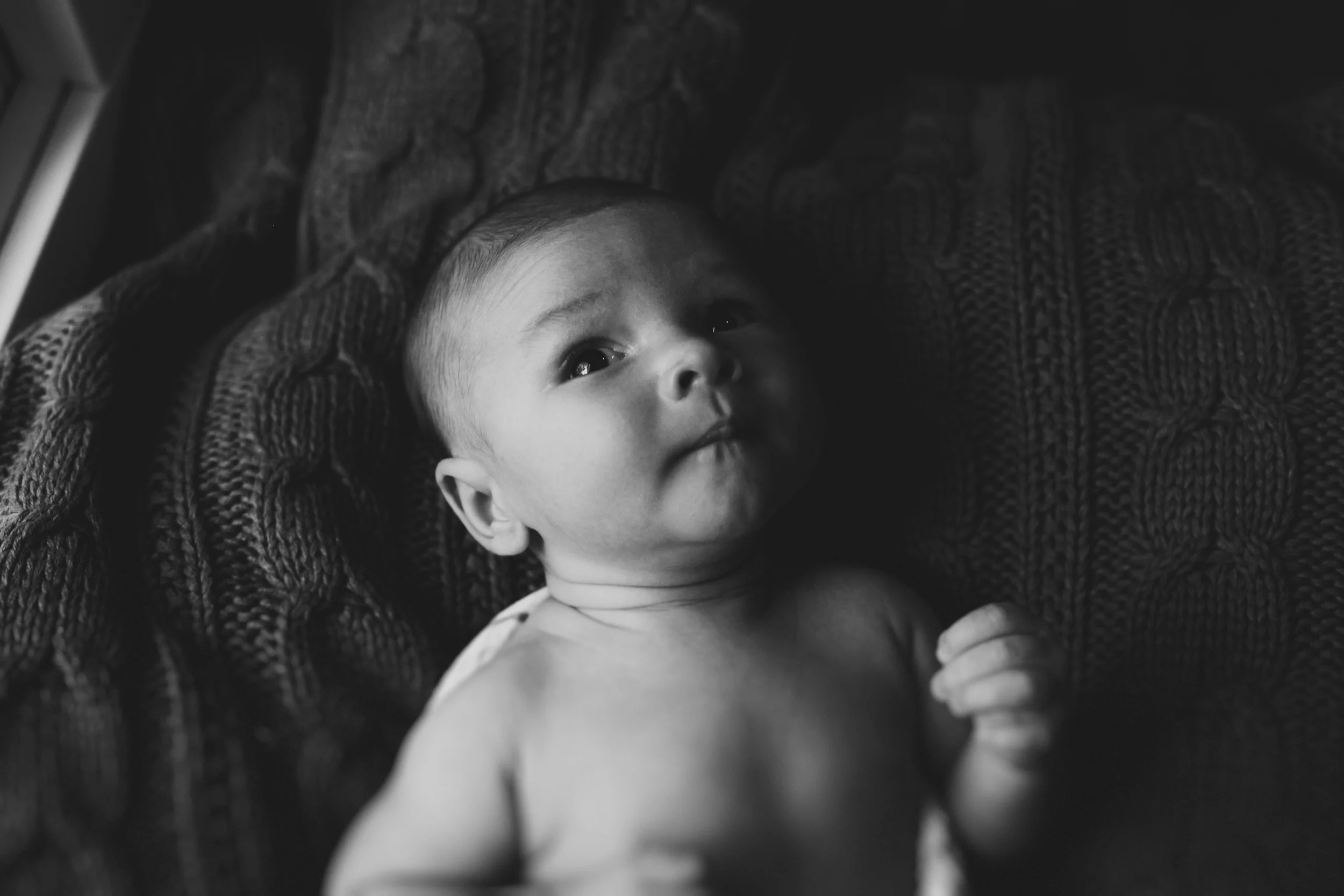 brazda_family_2015_0035.jpg
