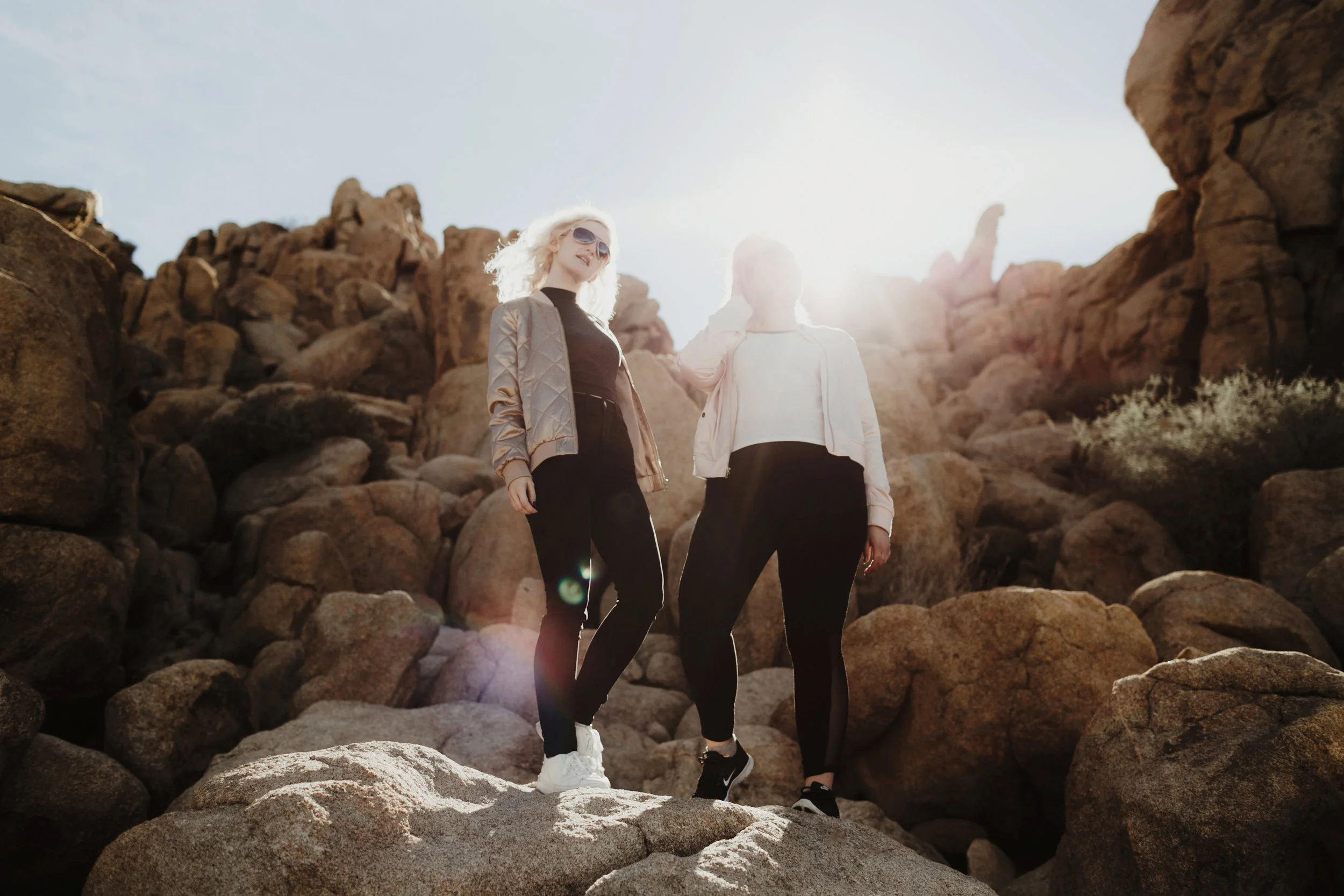 joshua_tree_and_los_angeles_2017_0146.jpg
