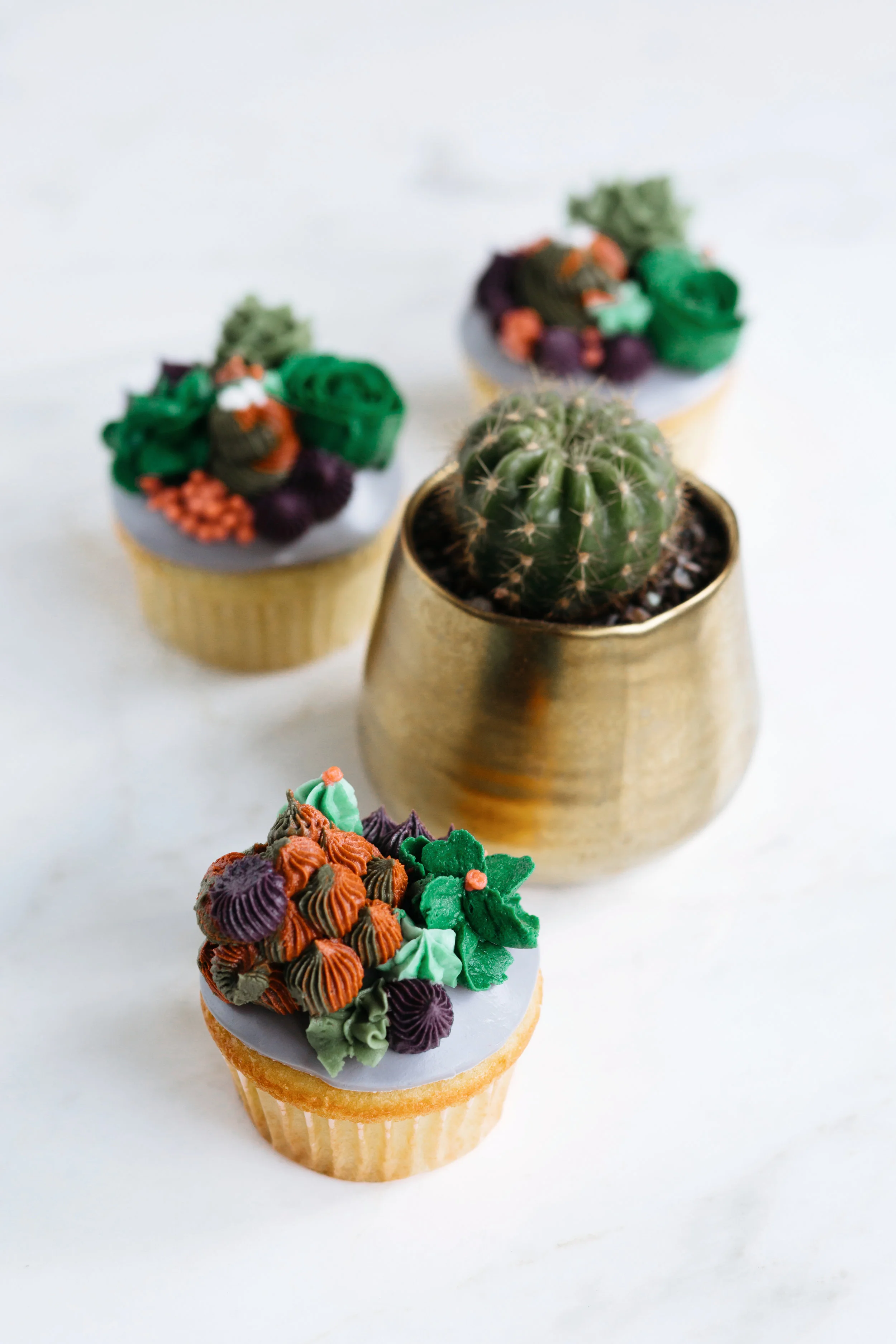 jane_grace_succulent_cupcakes_2017_0036.jpg