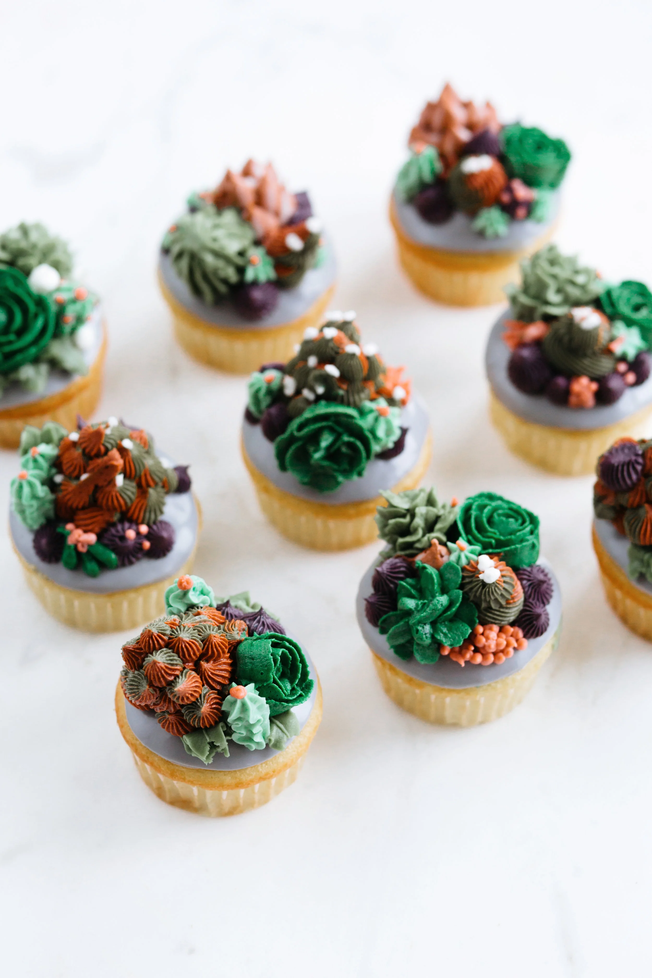 jane_grace_succulent_cupcakes_2017_0041.jpg