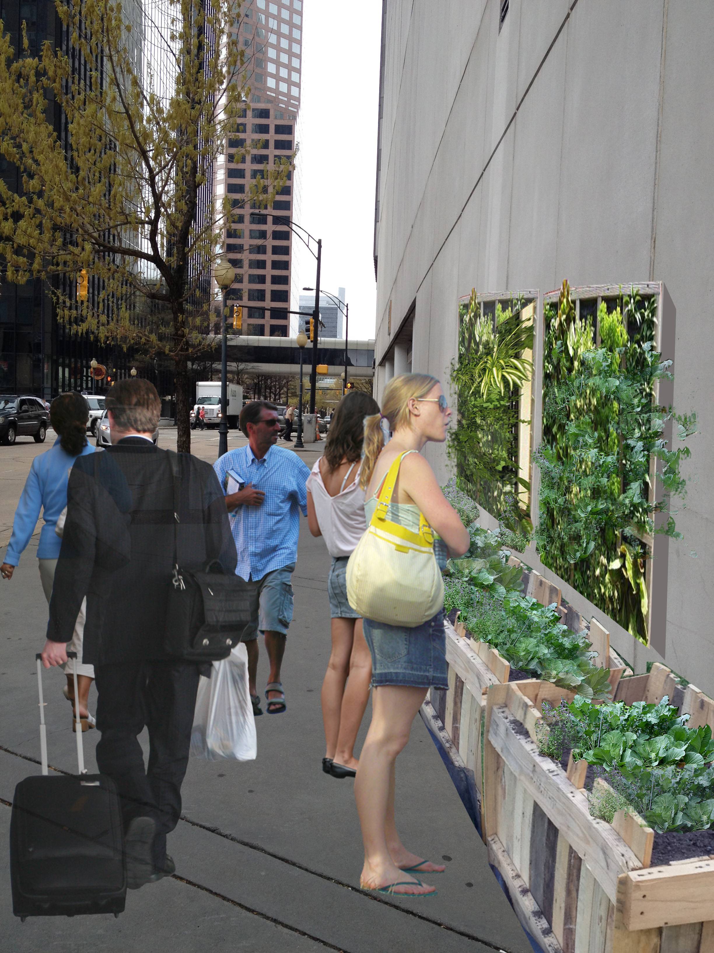 blankwall+verticalgarden_sm.jpg