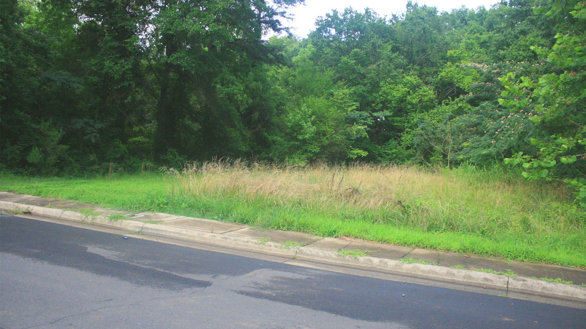 Before : Vacant neighborhood lot in Reid Park