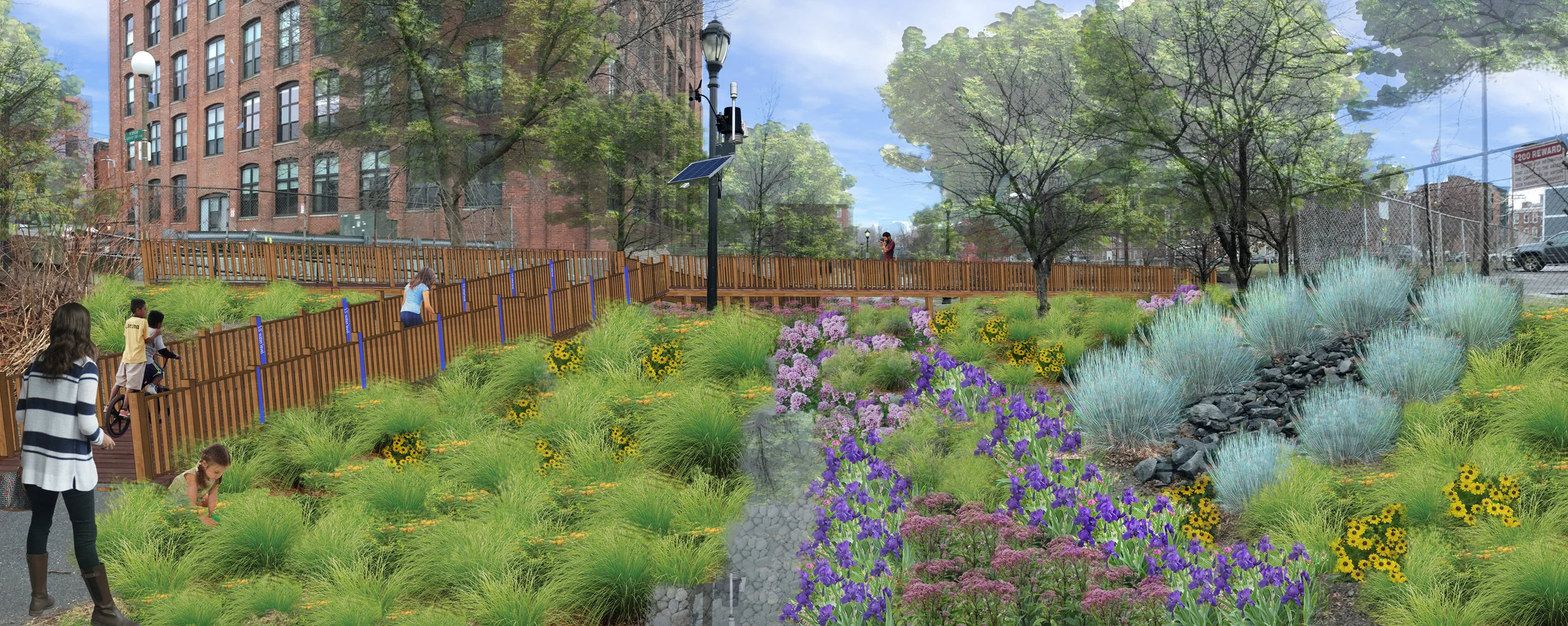 After: Bridge cross section. The path is now filled with native, water absorbing plants such as joe pye weed, little blue stem, bearded iris’, and others. The water level markers are seen marked in blue on the ramp. A weather station is mounted to the existing light pole.