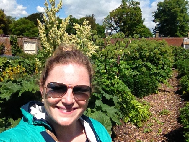 4 foot tall rhubarb plant growing right behind me at Osborne House on the Isle of Wight, England
