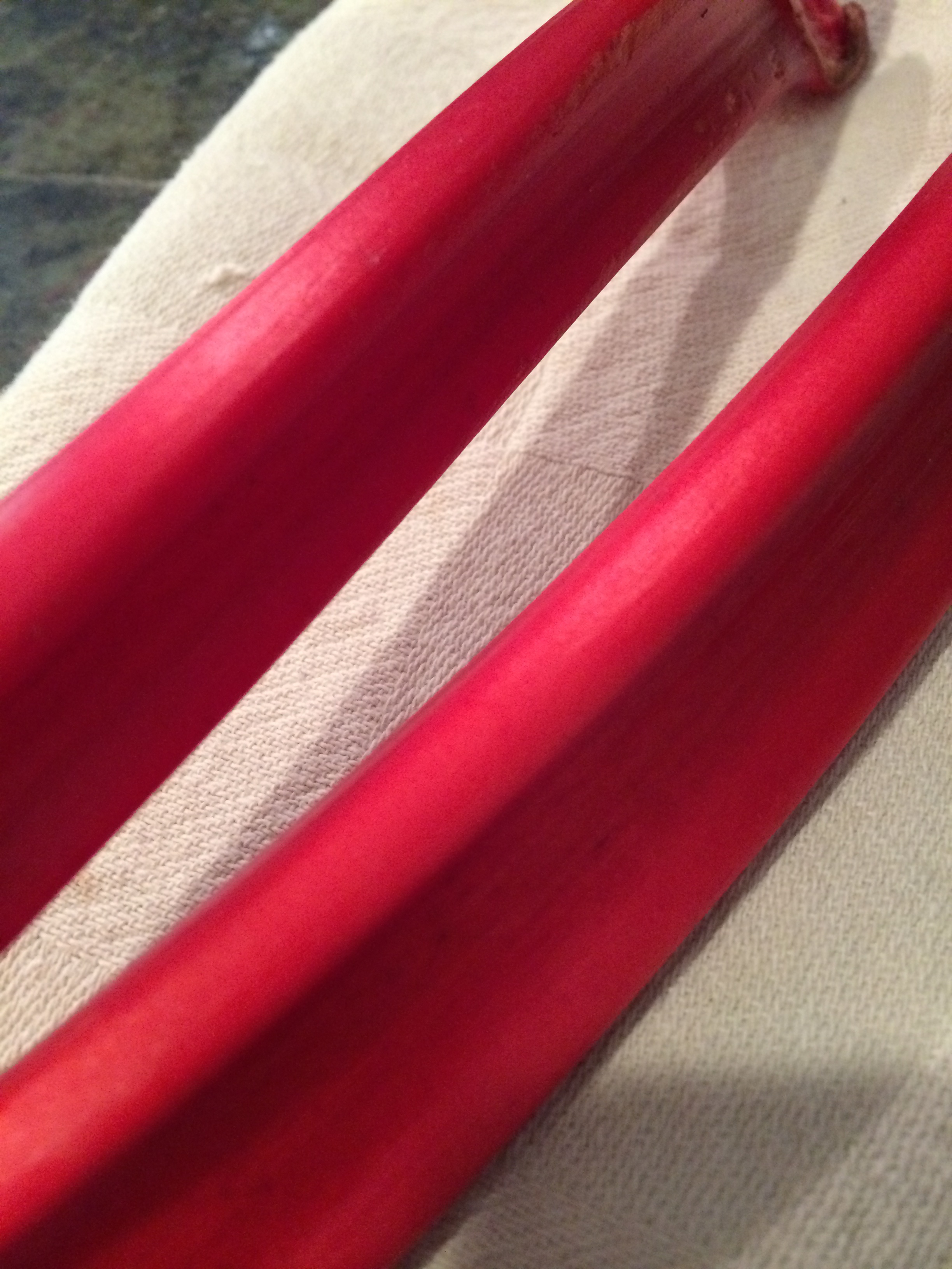 Gorgeous, bright red stalks