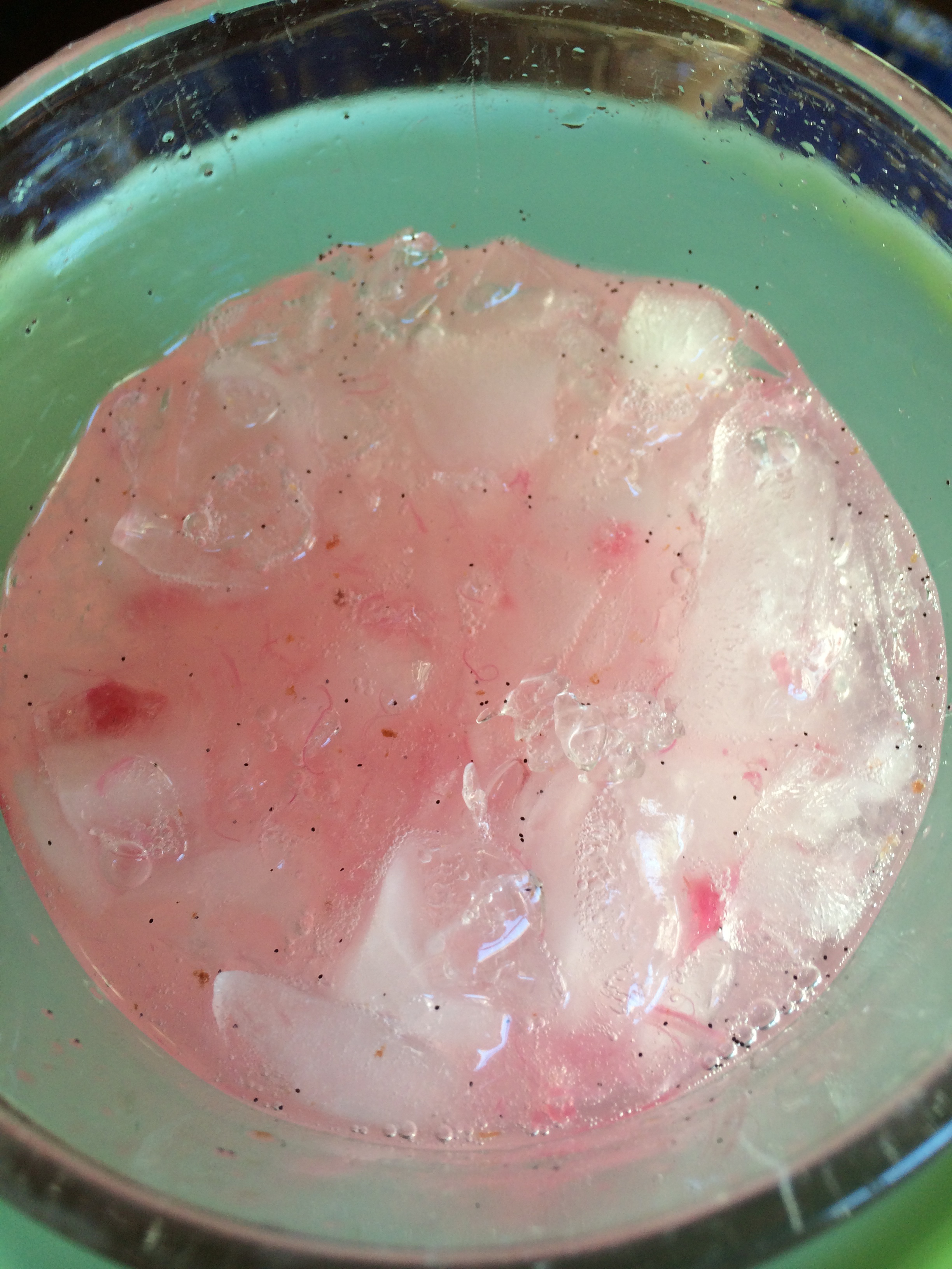 Yummy Rhubarb Vanilla Soda