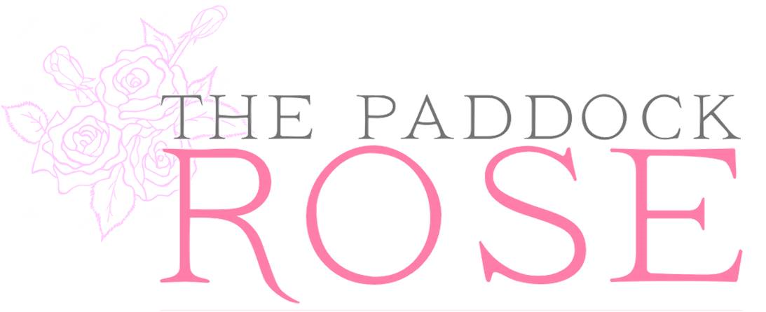 Joanne Lee-Steer Workshop on Bullet Journalling - the art of getting organised