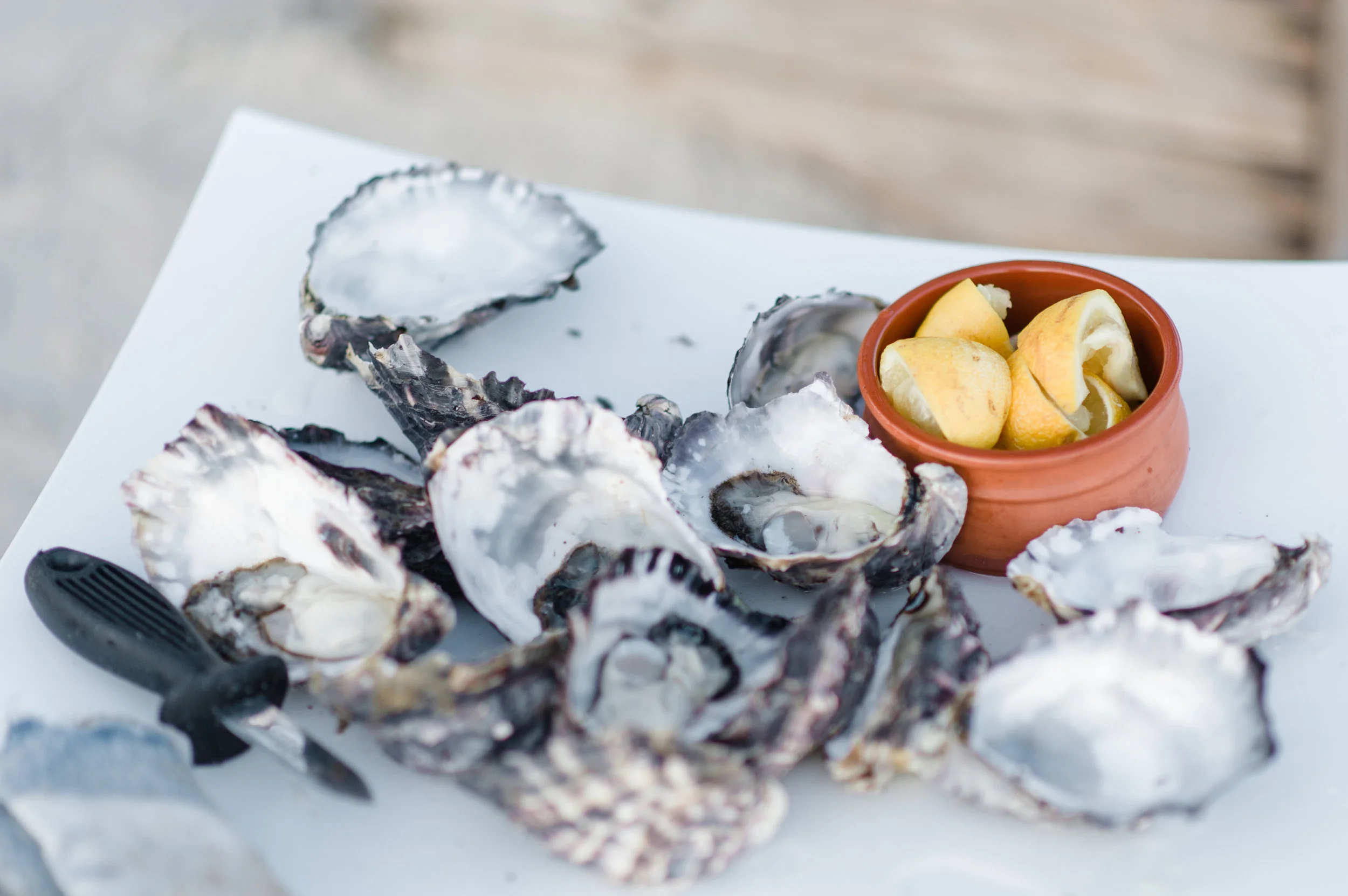Easy oyster tips frilly, fresh and frozen oysters — Lady Jo & Co