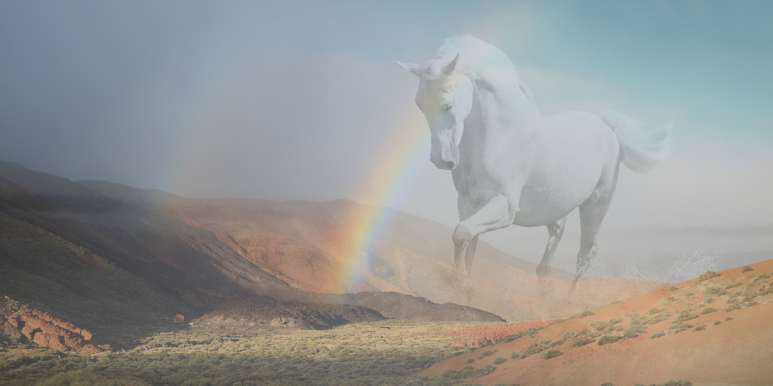 The Luminous Path Shamanic Training Program-2.png