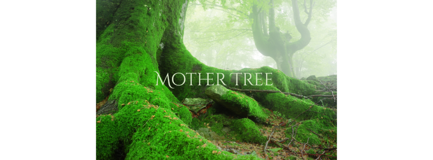 Mother Tree-2.png