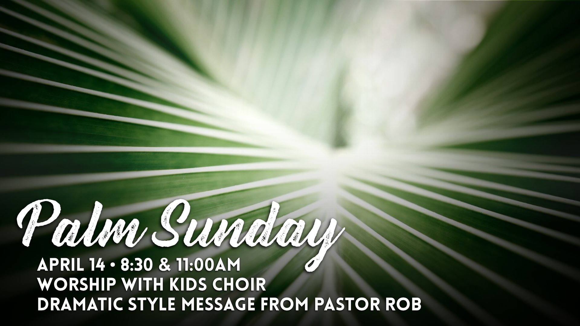 Palm Sunday.png