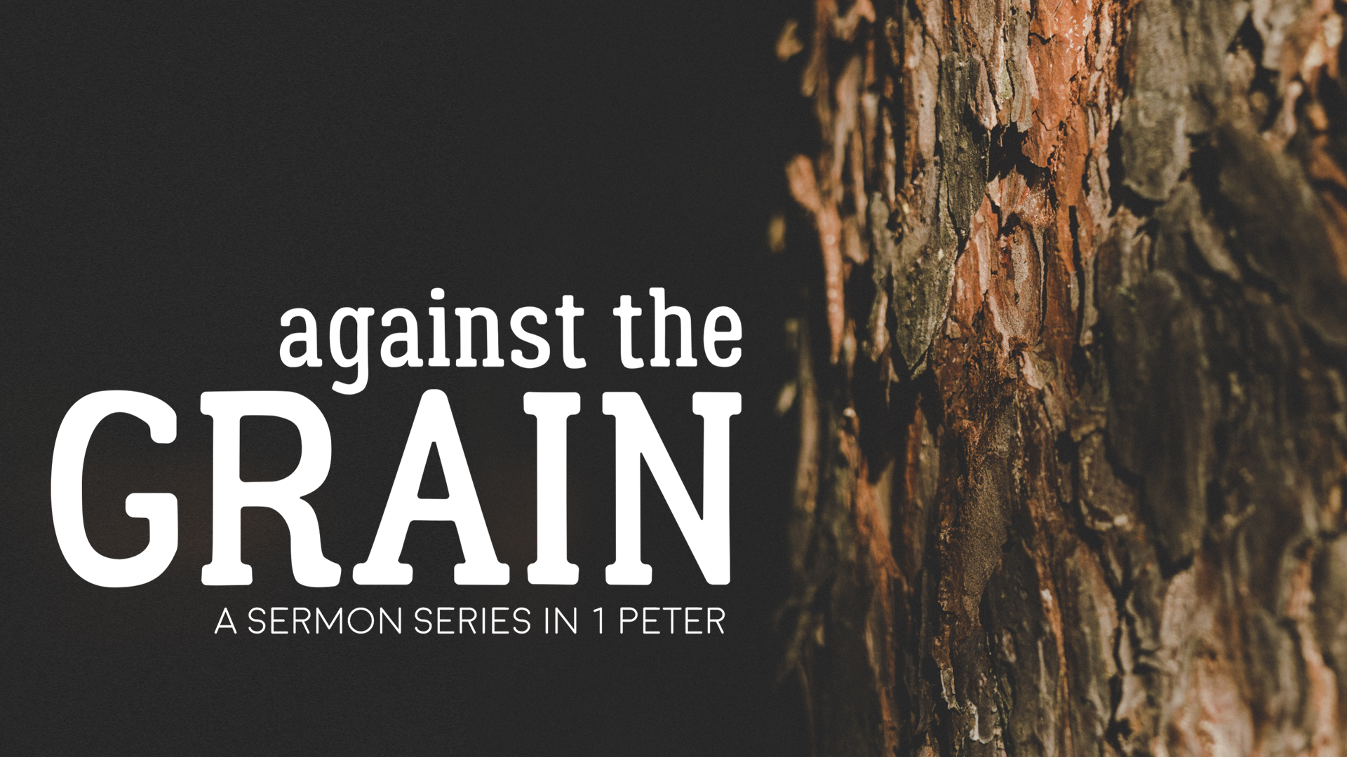 Against the Grain series slide.png