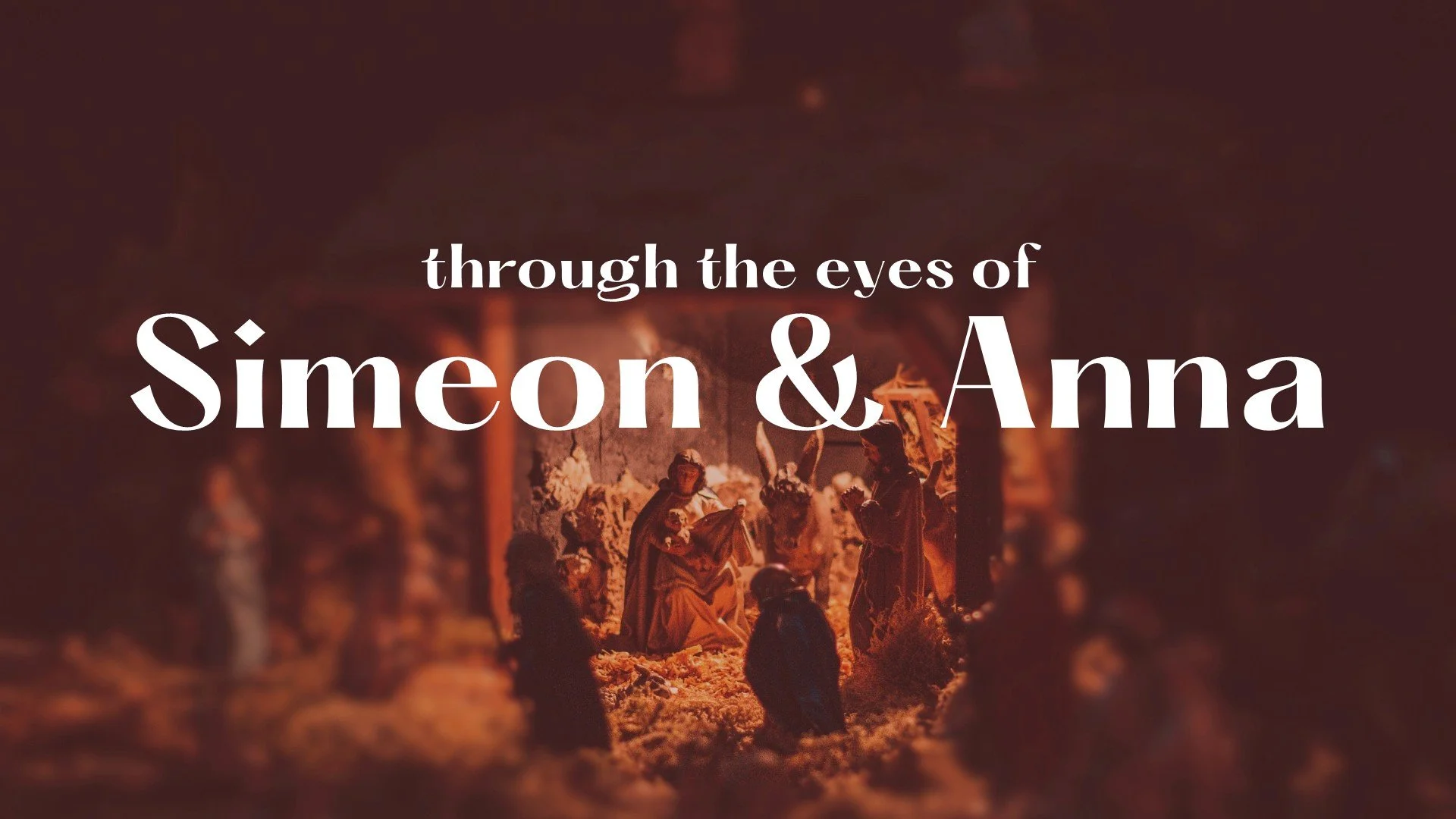 Do You See What I See: Simeon &amp; Anna