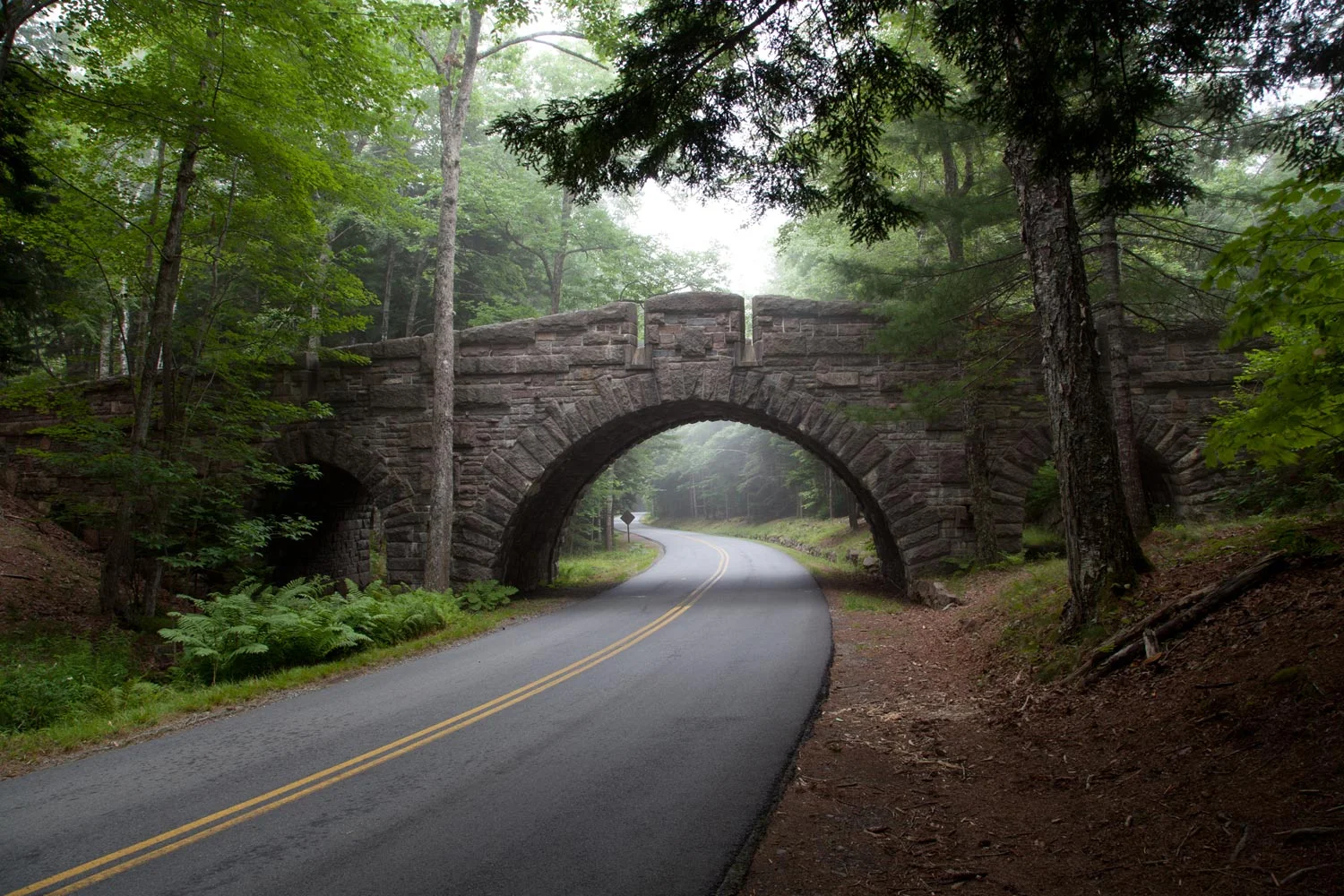 acadia03.jpg