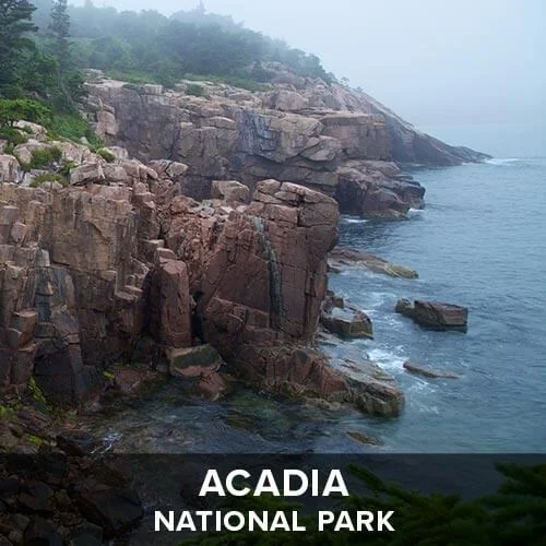 thumb_acadia.jpg