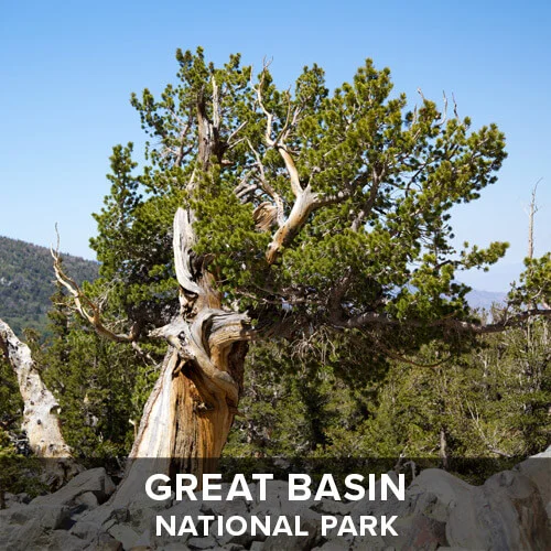 thumb_GreatBasin.jpg