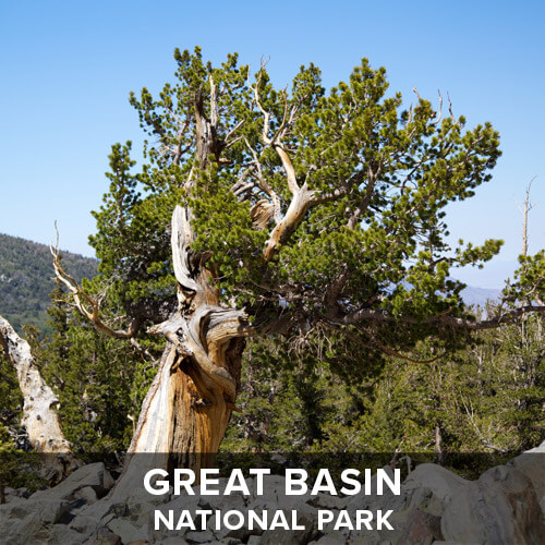 thumb_GreatBasin.jpg