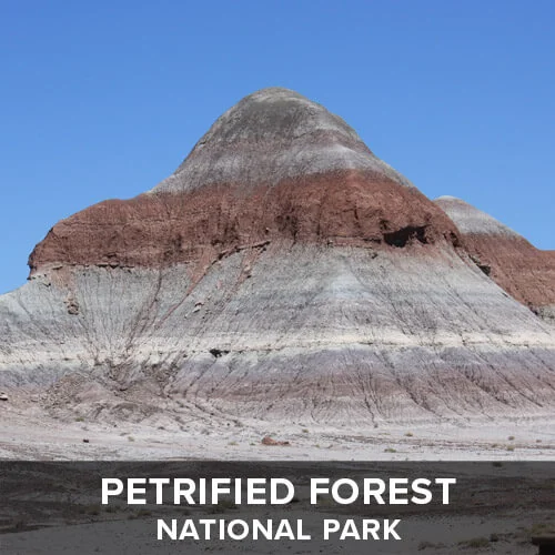 thumb_PetrifiedForest.jpg