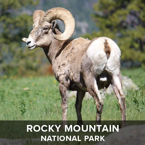 thumb_RockyMountain.jpg