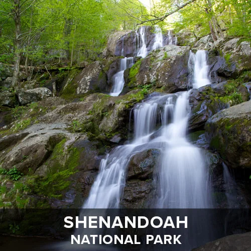 thumb_Shenandoah.jpg