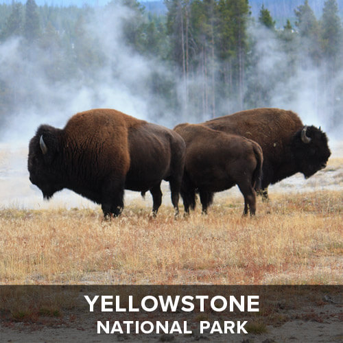 thumb_Yellowstone.jpg