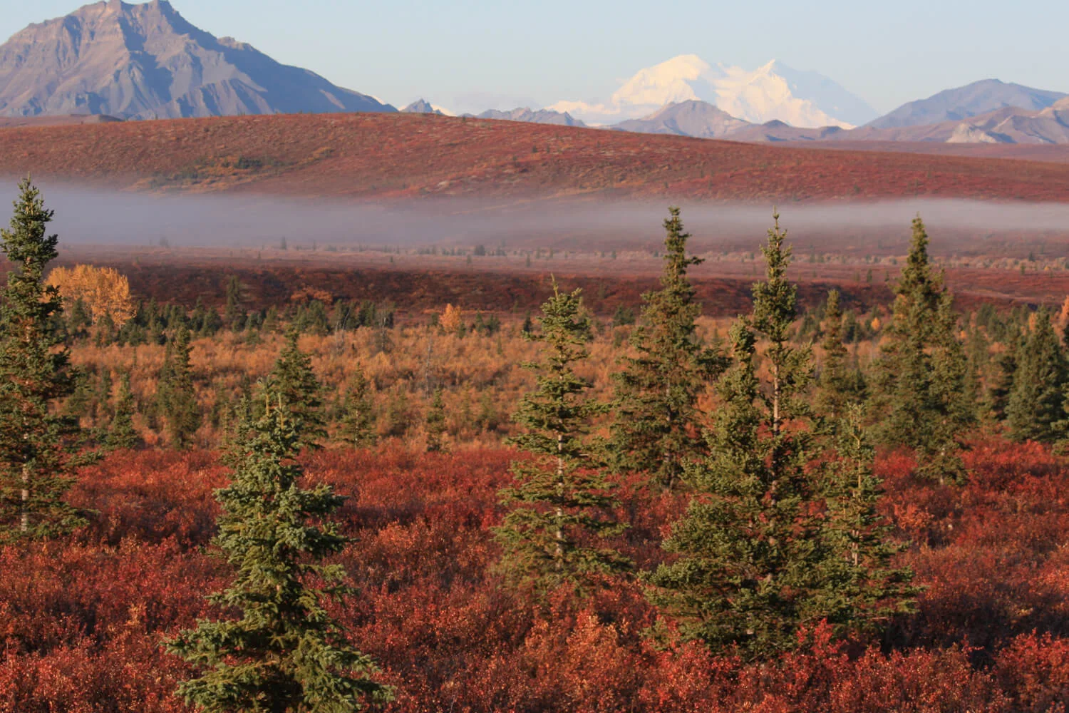 _banner_0041_denali.jpg