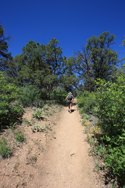 Terry trekking the Mark Warner Nature Trail. Park visit #10 .