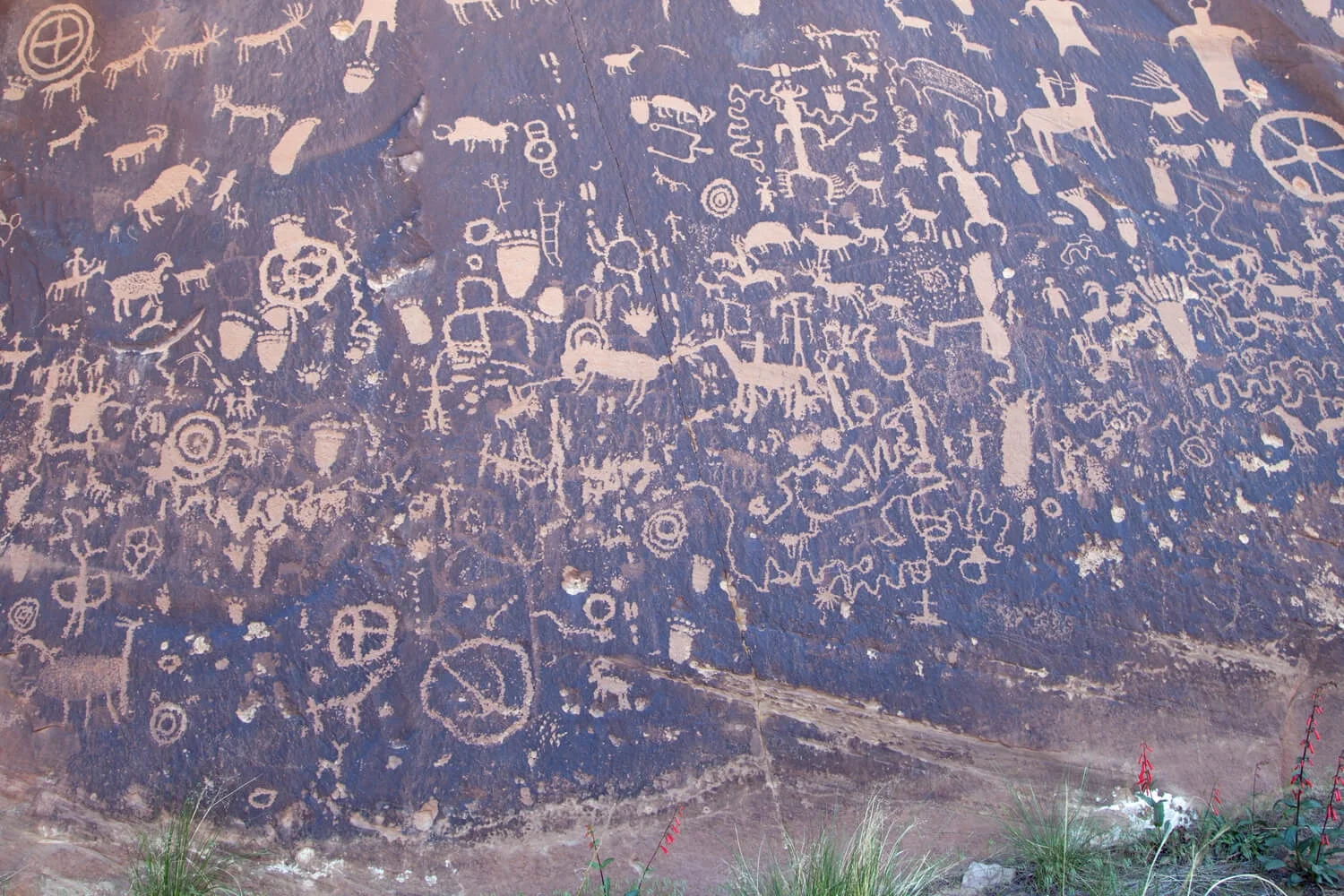 _banner_0049_canyonlands.jpg