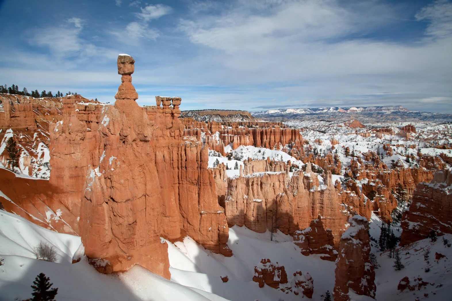 Bryce_2637*_1.jpg