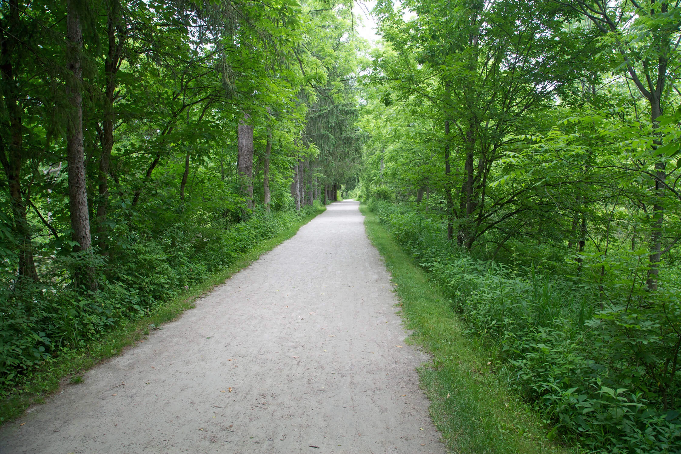 Towpath Trail