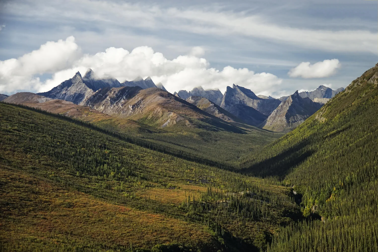 Arrigetch Peaks. Photo by Andrew Thomas