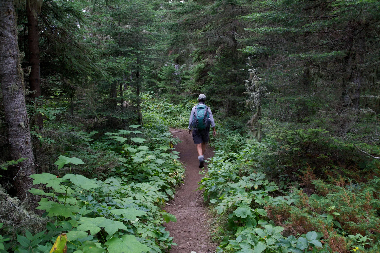 Trekking to the top of Mt. Franklin. 