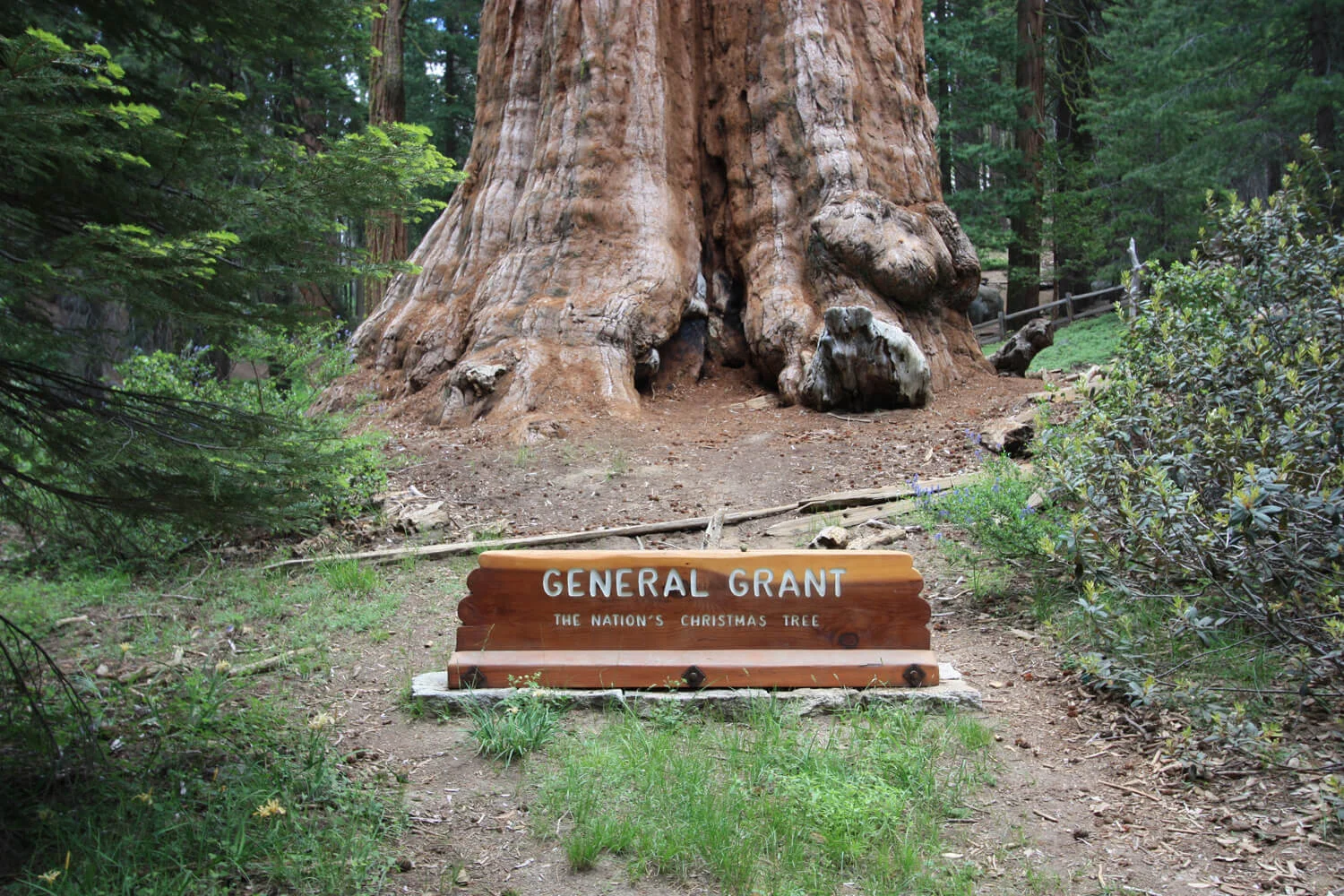 GrantSign_5496.jpg