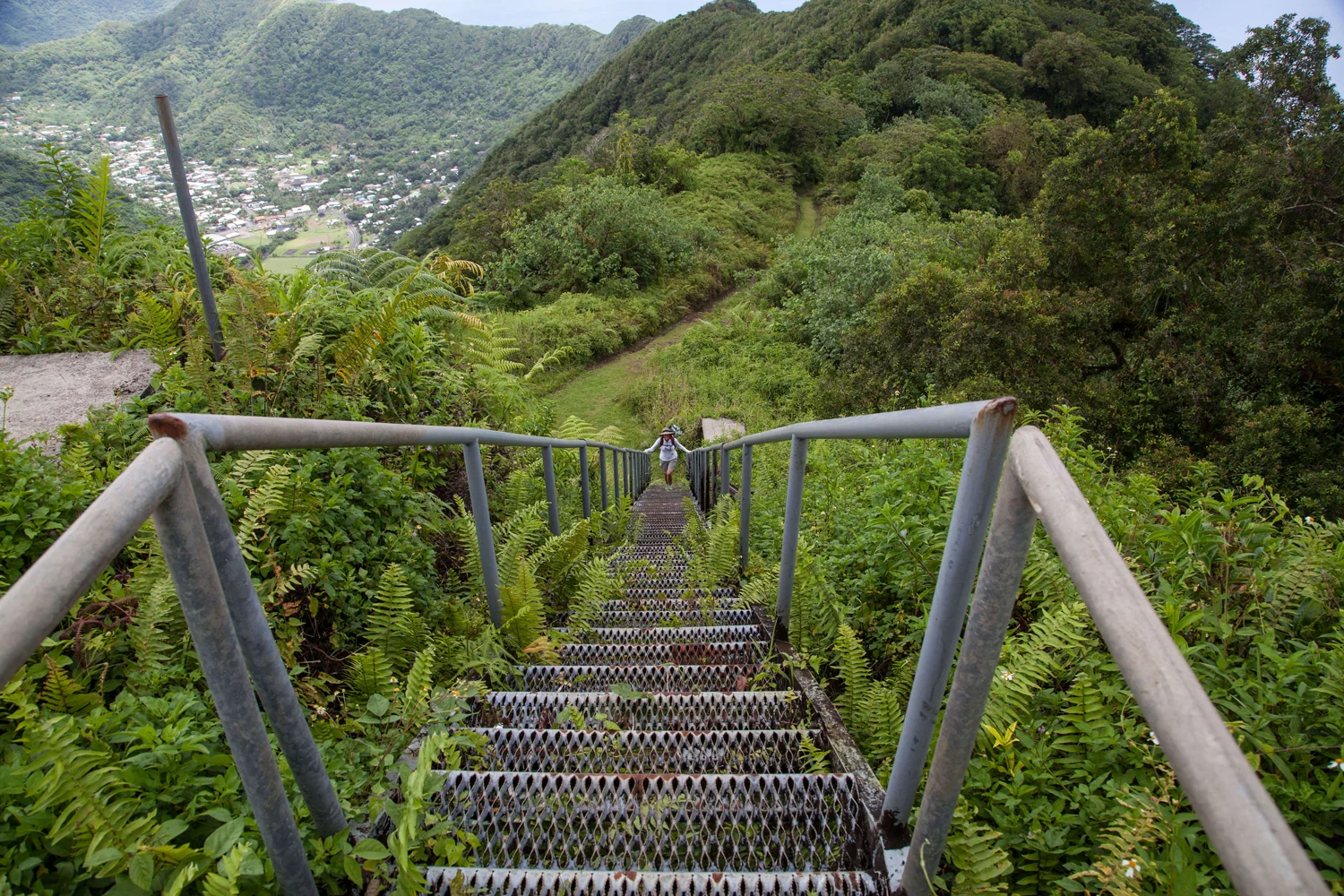 Terry trekking to the top of Mt. Avala. 
