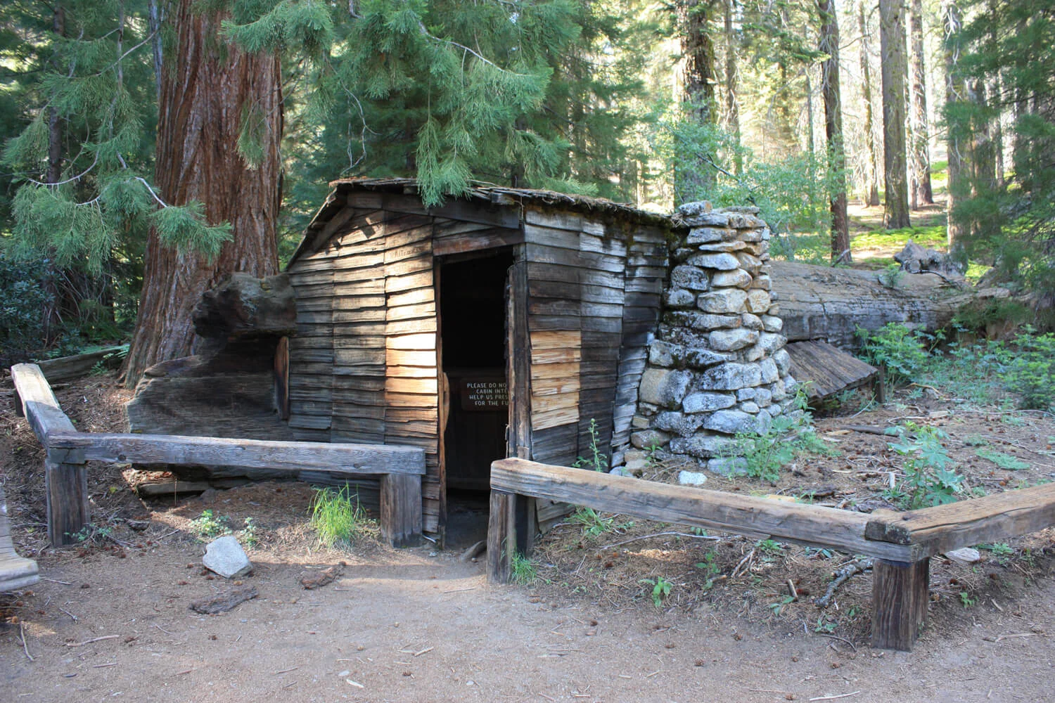 Tharp Log...a genuine "tree house!"