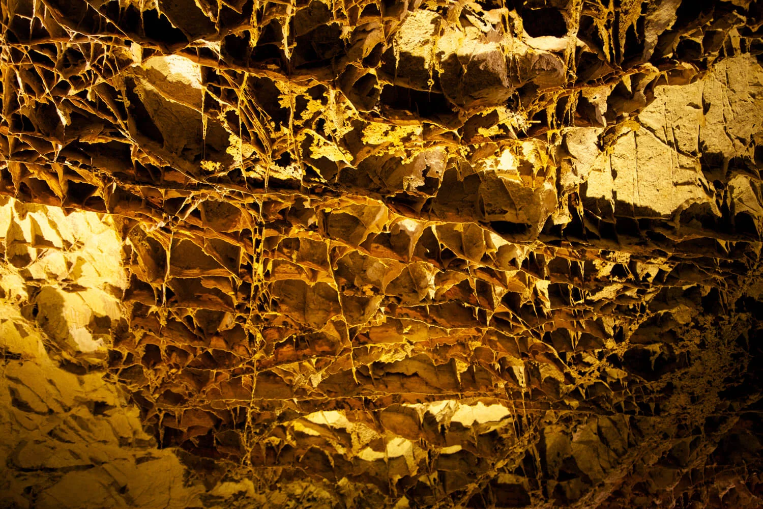 The Boxwork formation sets Wind Cave apart from other cave systems. 