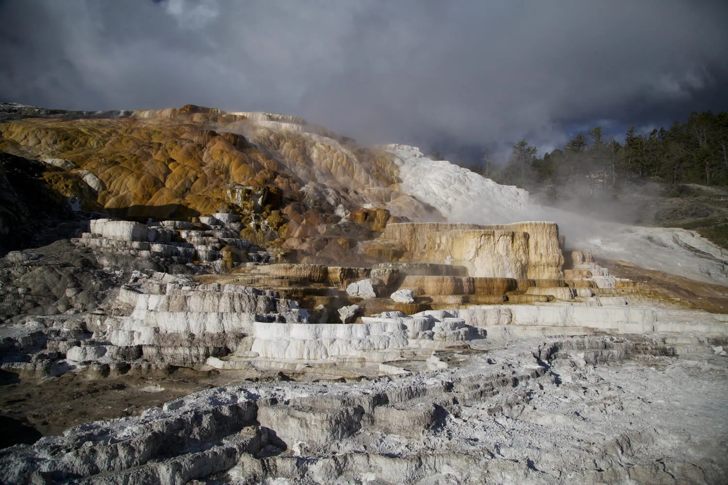 Formations at Mammoth Hot Springs in the northwestern reaches of the park. 
