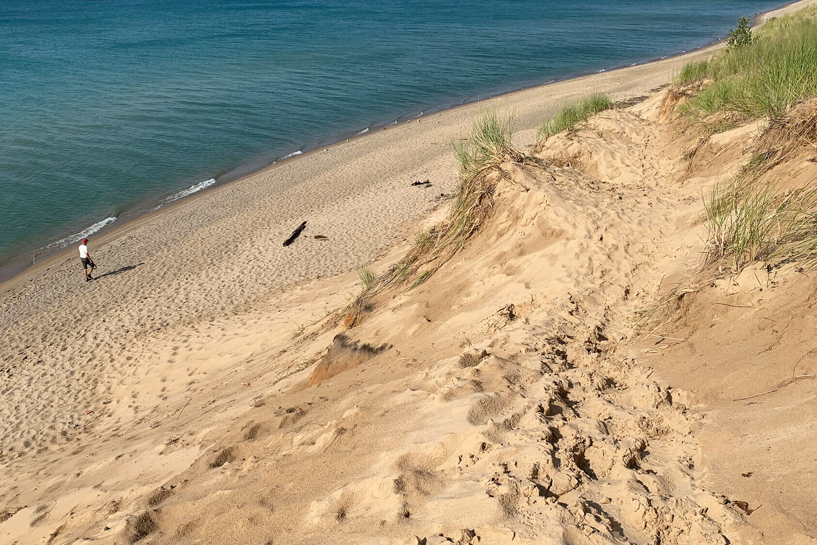 Campgrounds at Indiana Dunes National Park - Indiana Dunes National Park  (U.S. National Park Service)