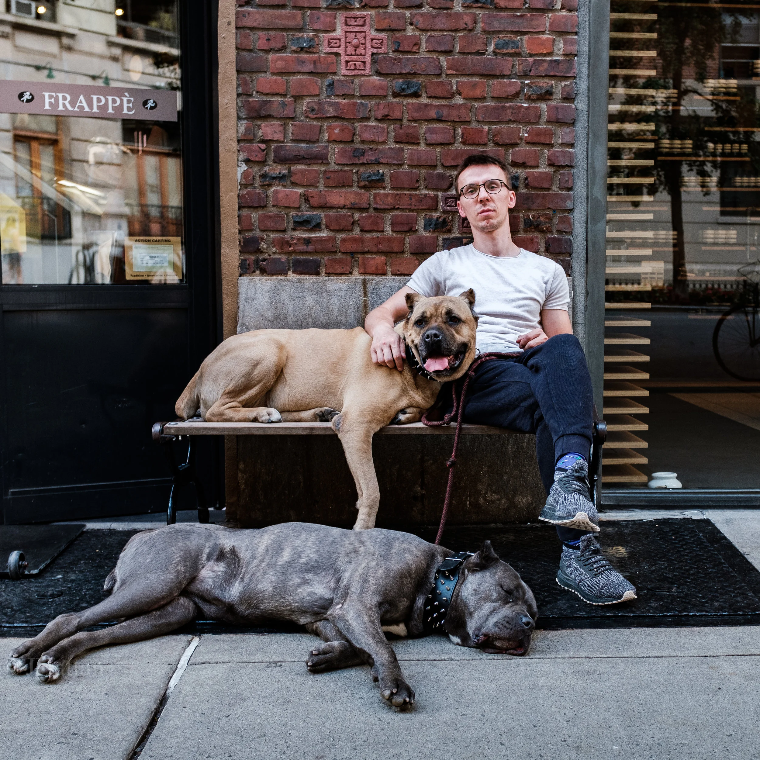 Liron with his dogs.jpg