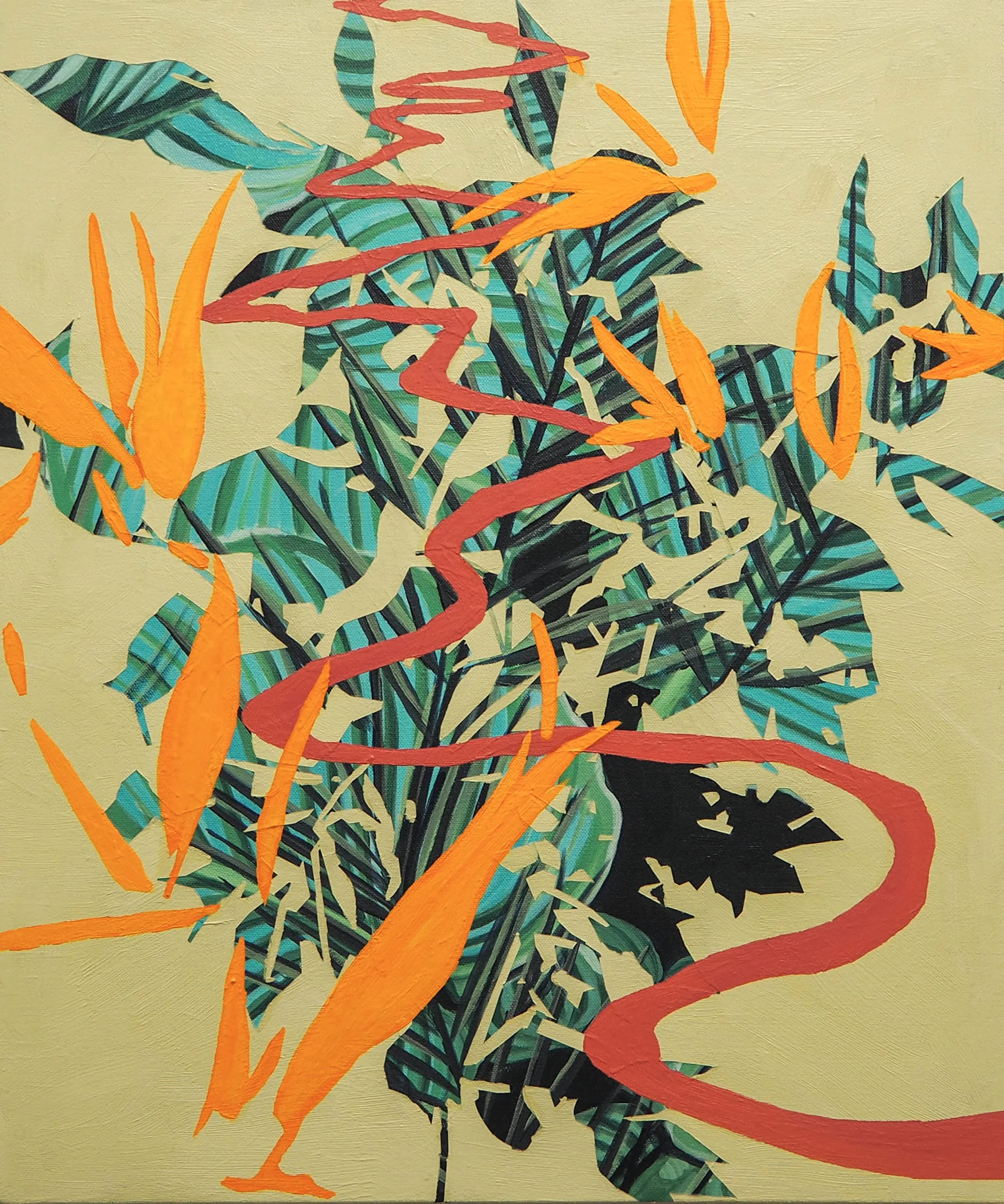 Birds of Paradise