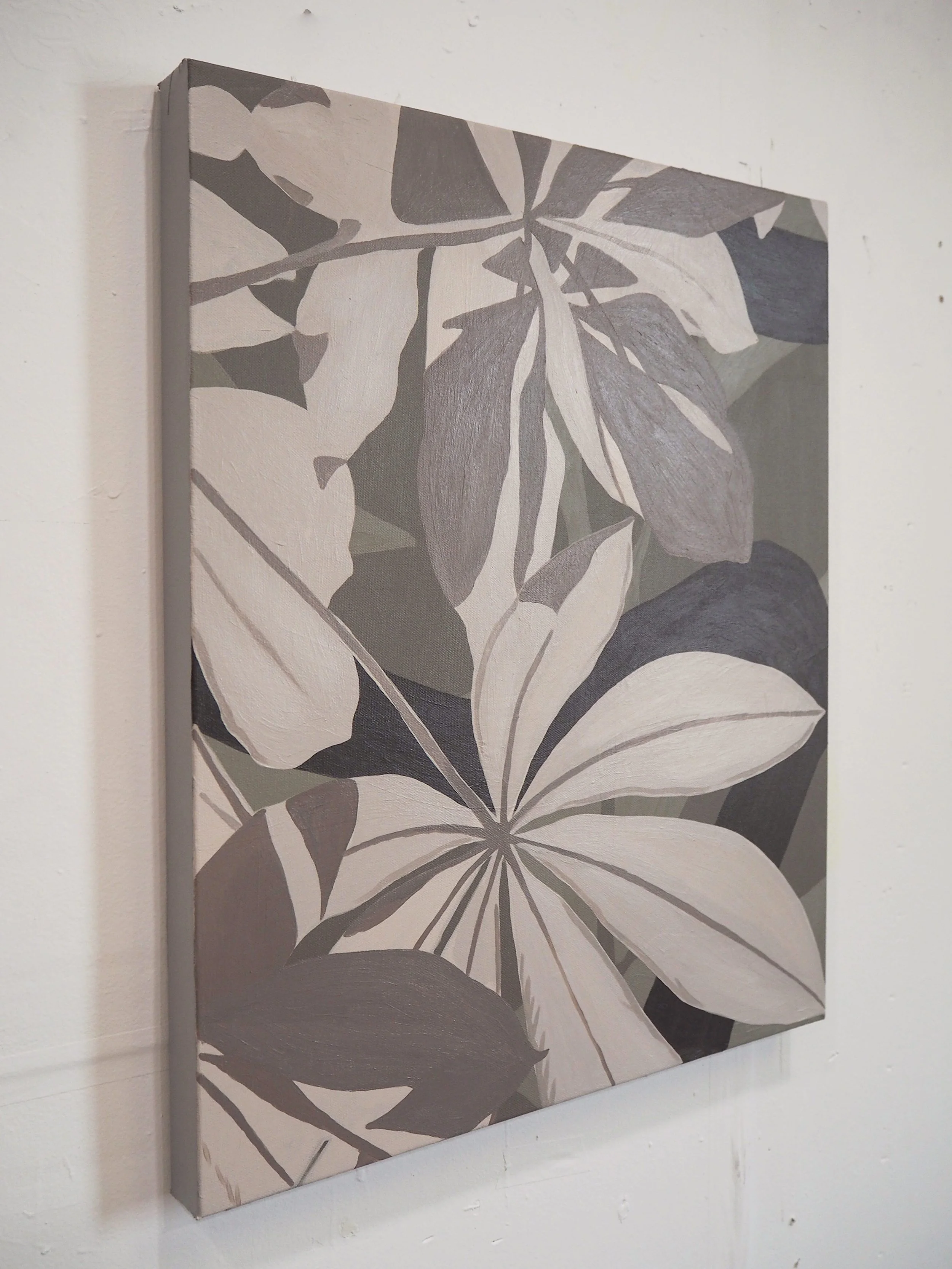 Plant 10 B copy.jpeg