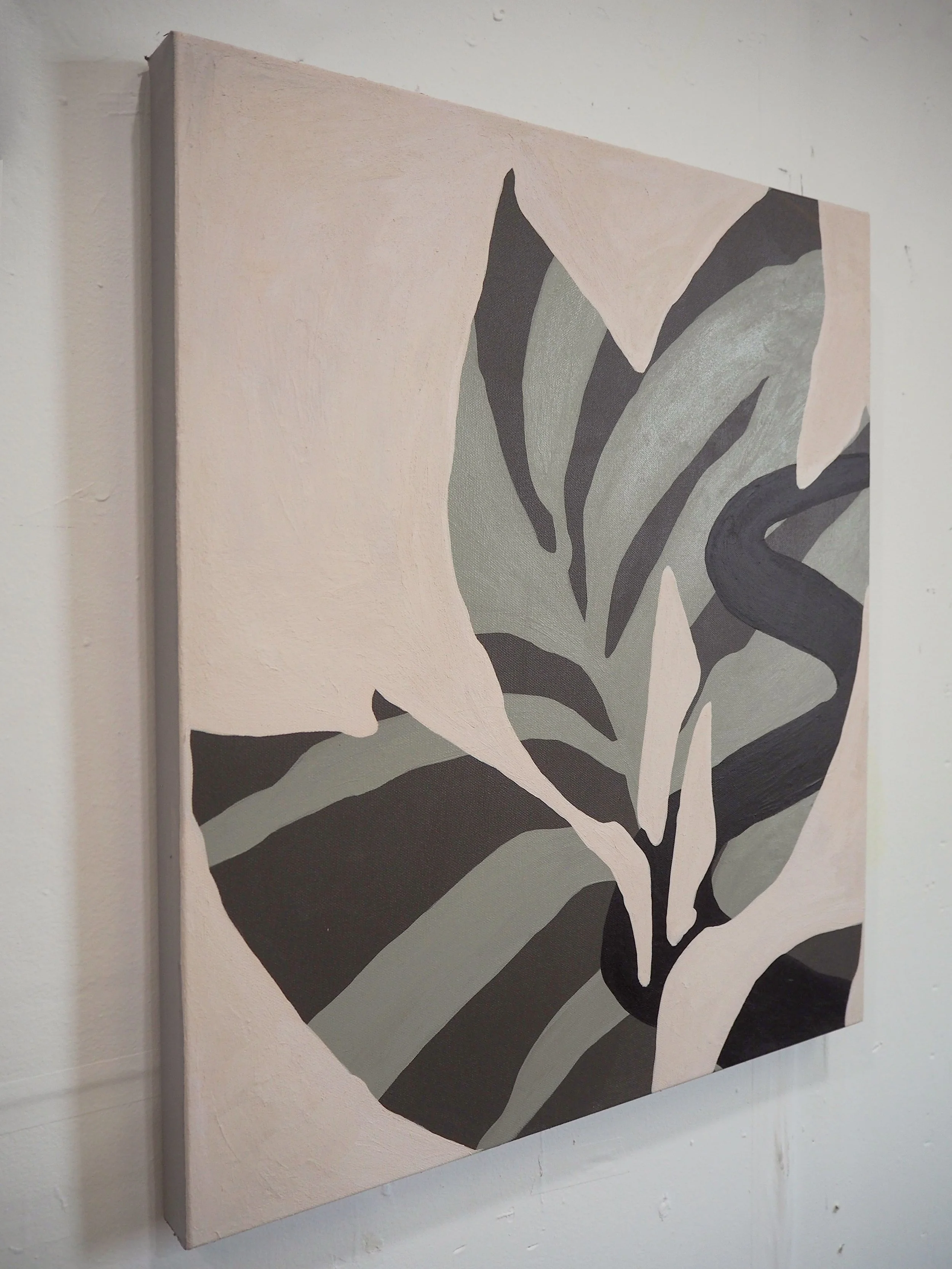 Plant 12 B copy.jpeg