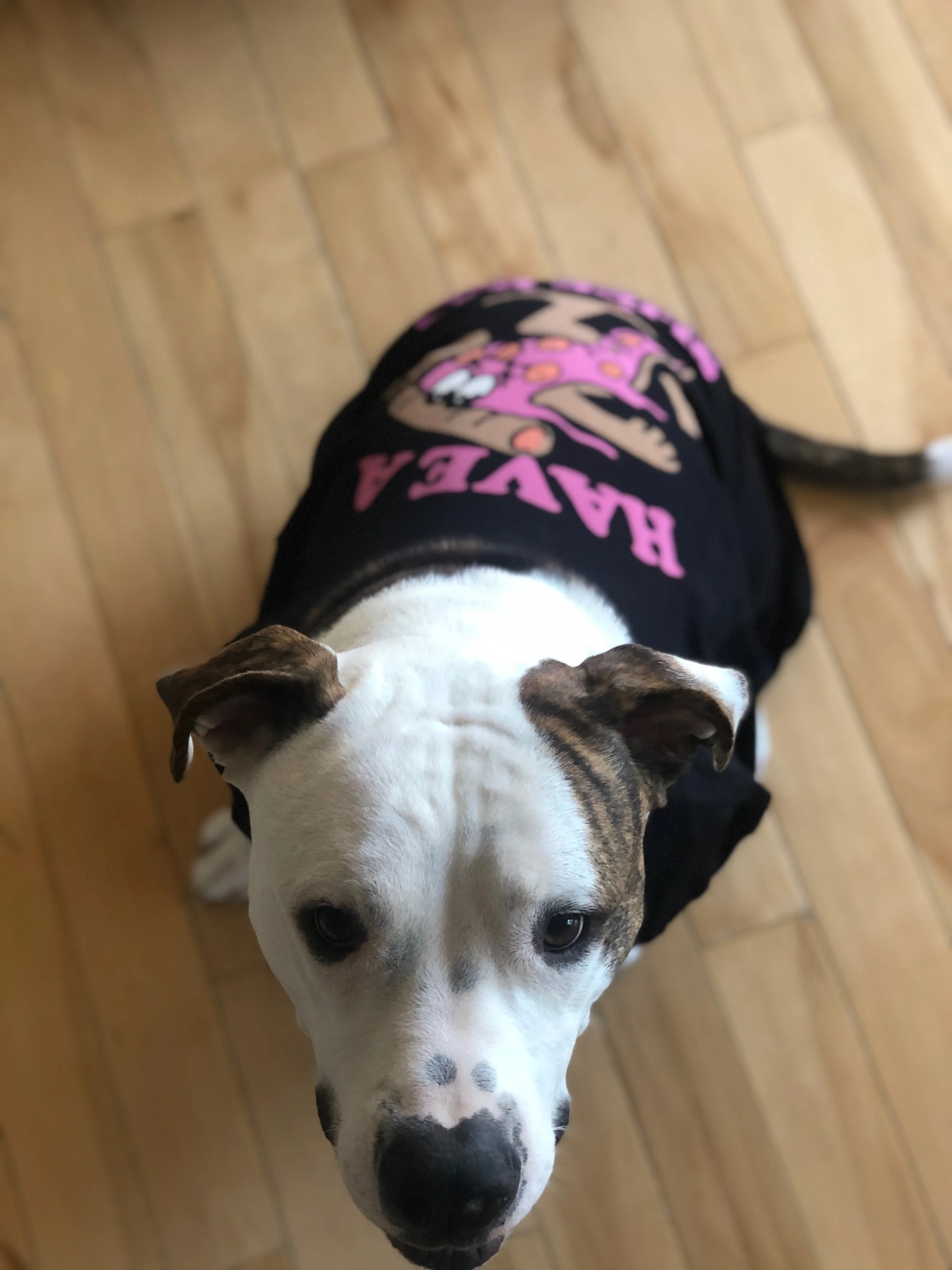 PORTFOLIO - 645 of 1938.jpeg