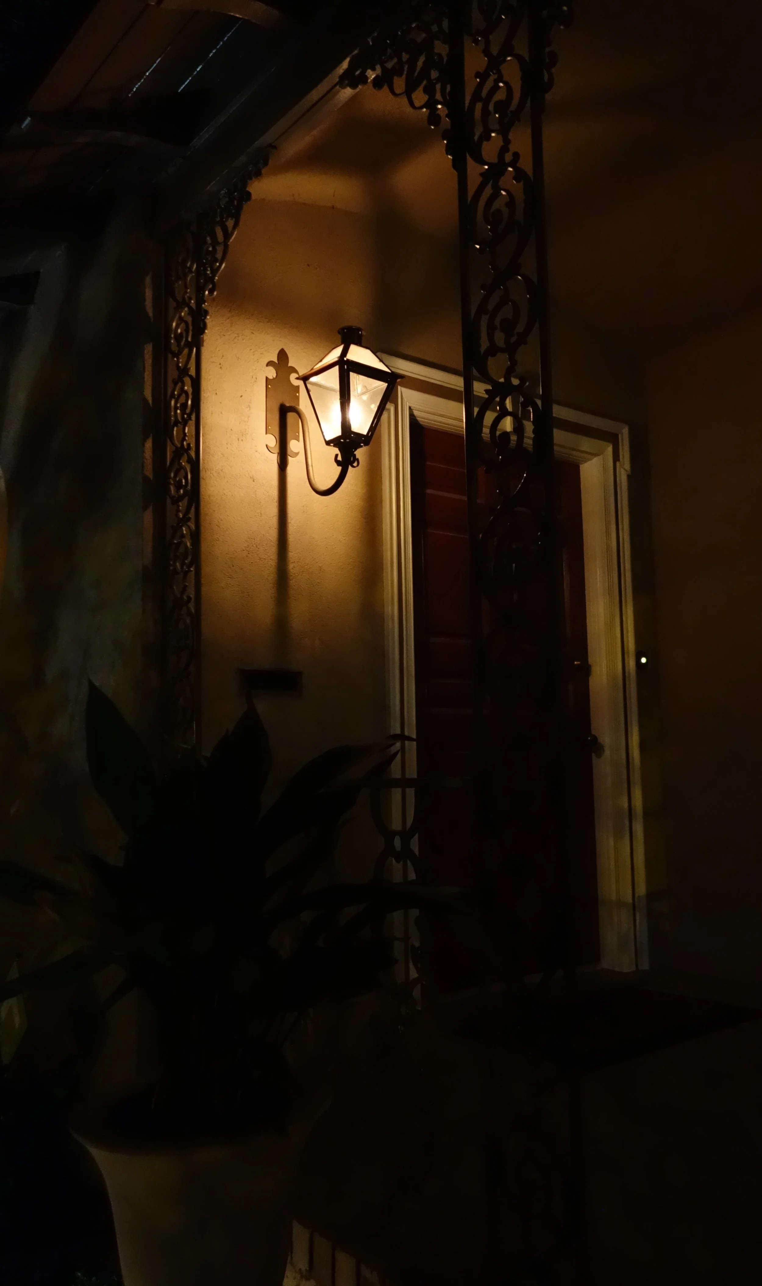 NIGHT 04 DSC09133.JPG