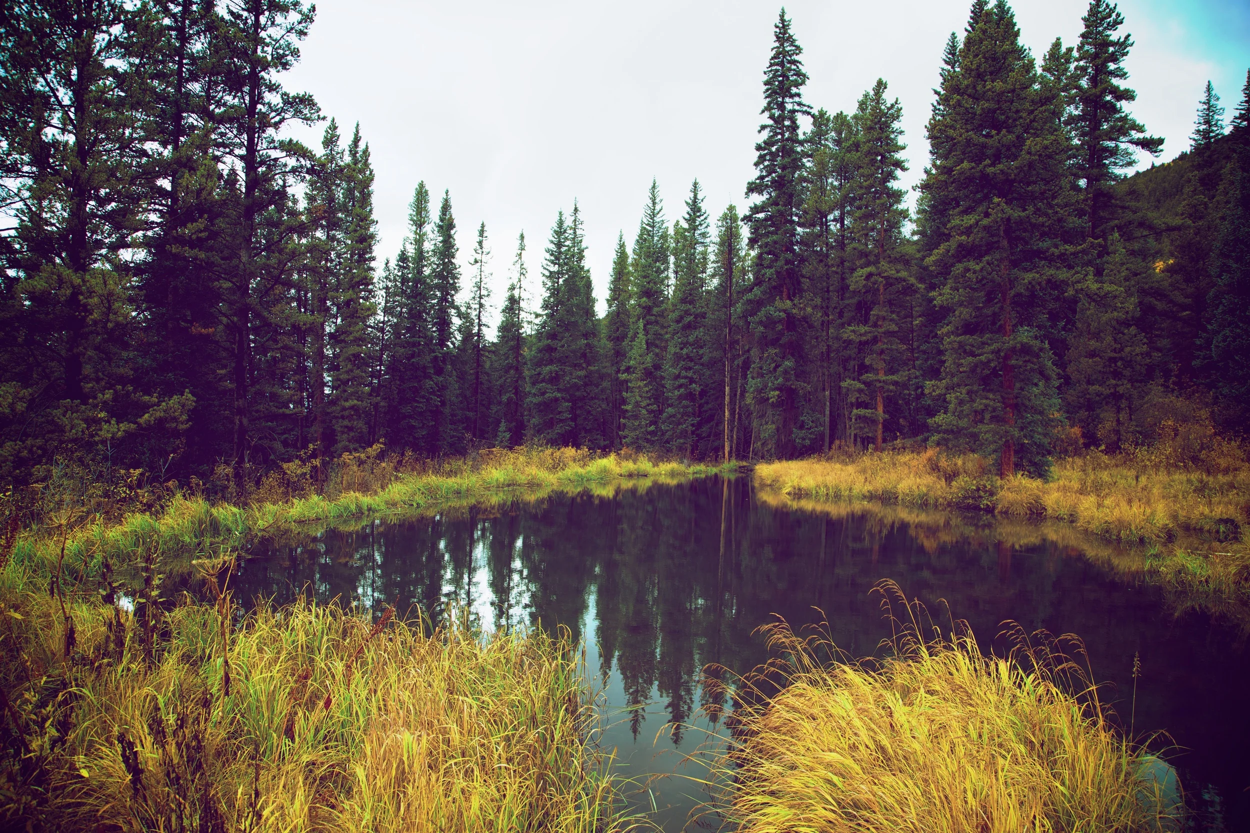 Gunnison Pond.jpg