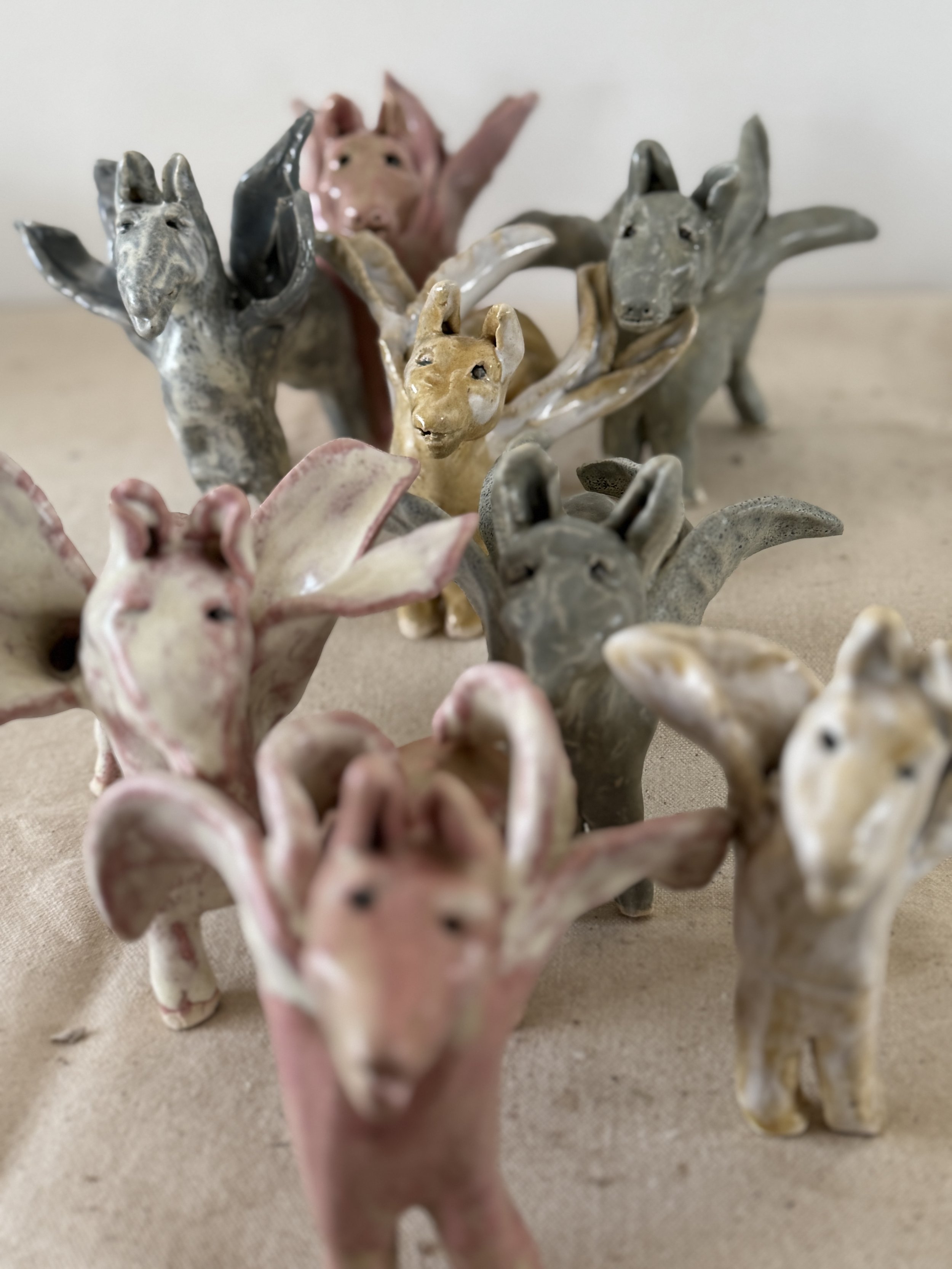 smalldonkeys.JPG