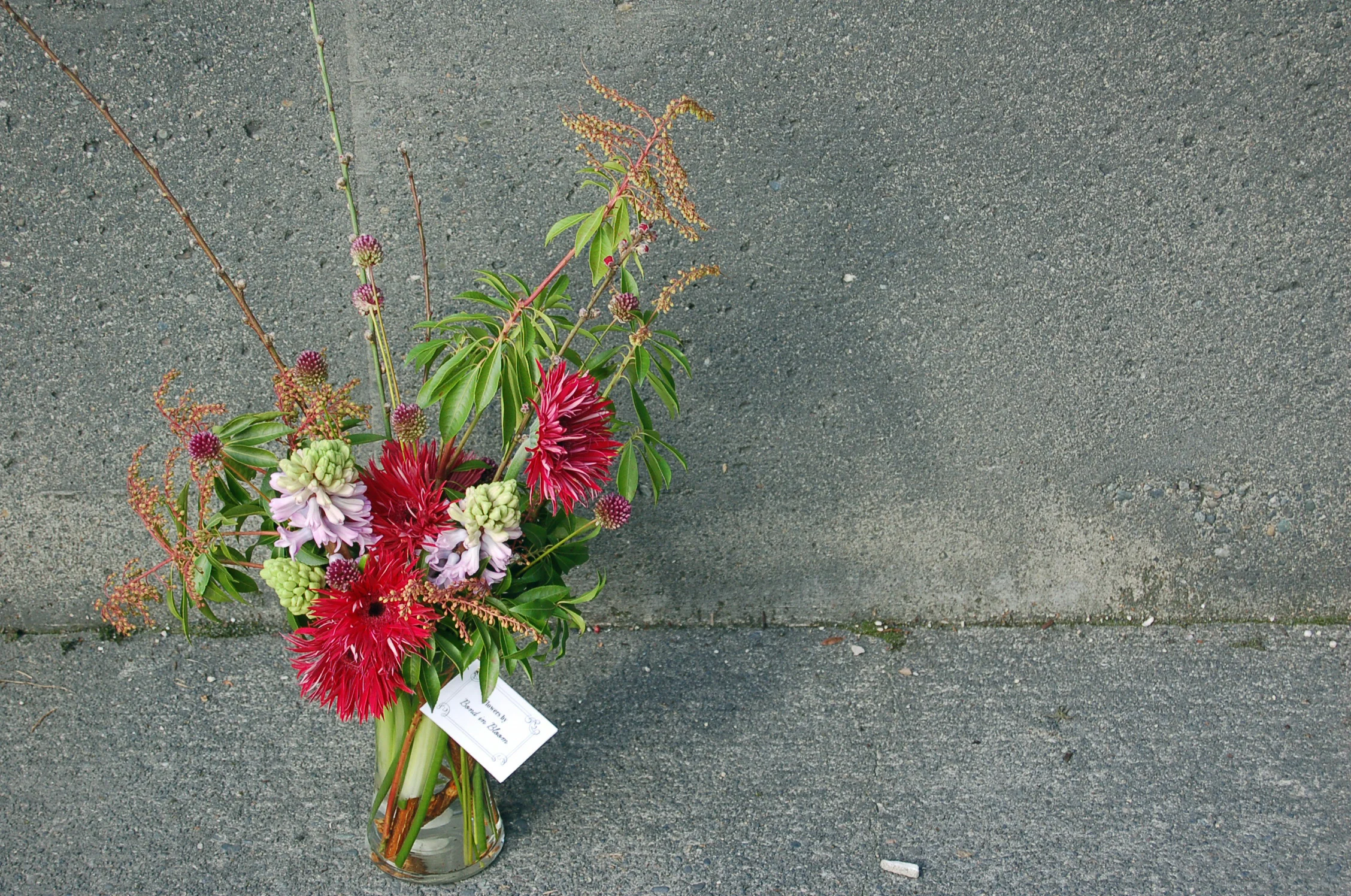 gerbera8.jpg
