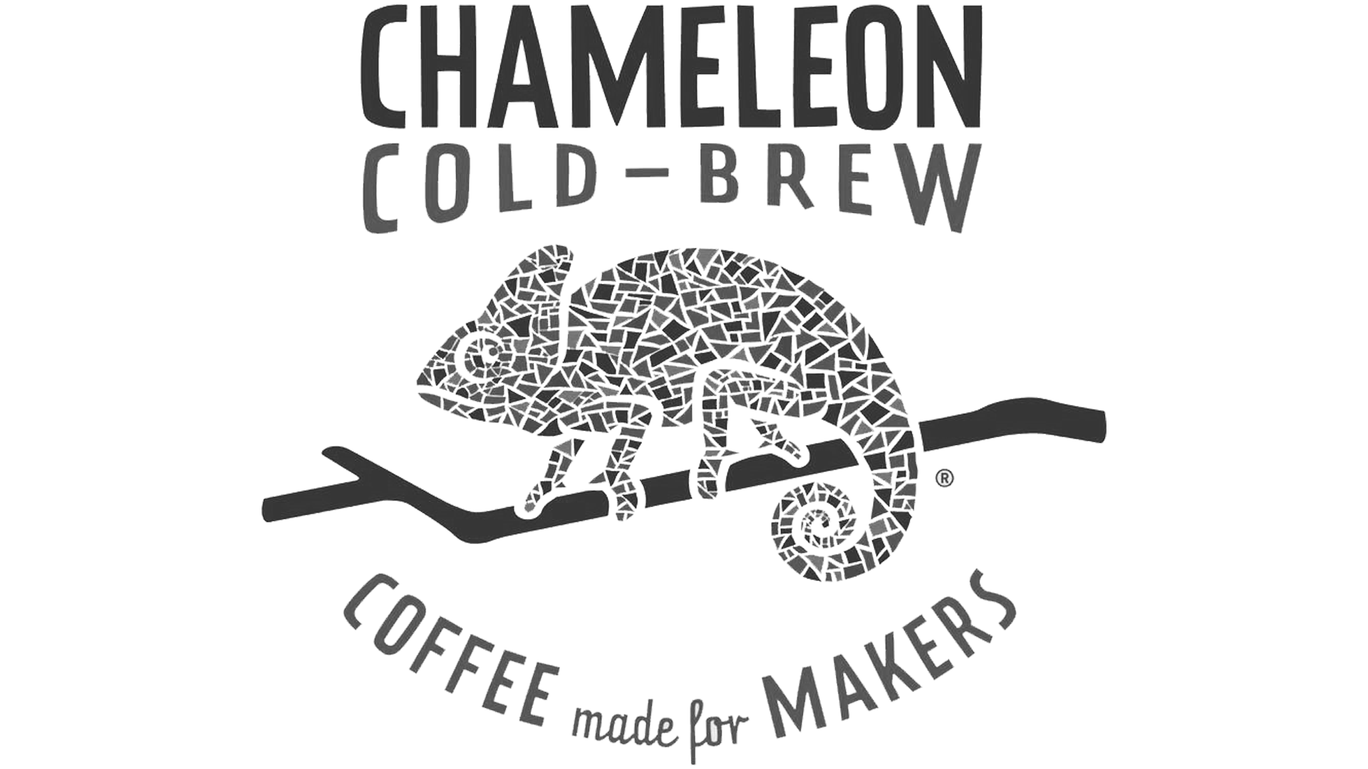 Chameleon Website Final.png