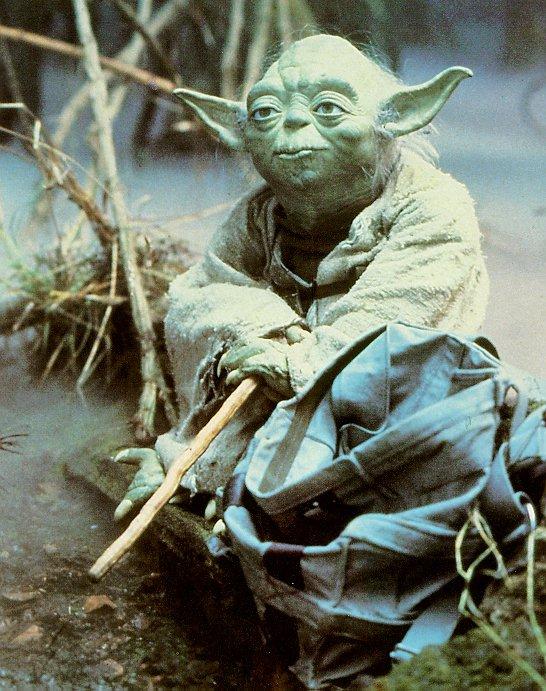 yoda_in_swamp